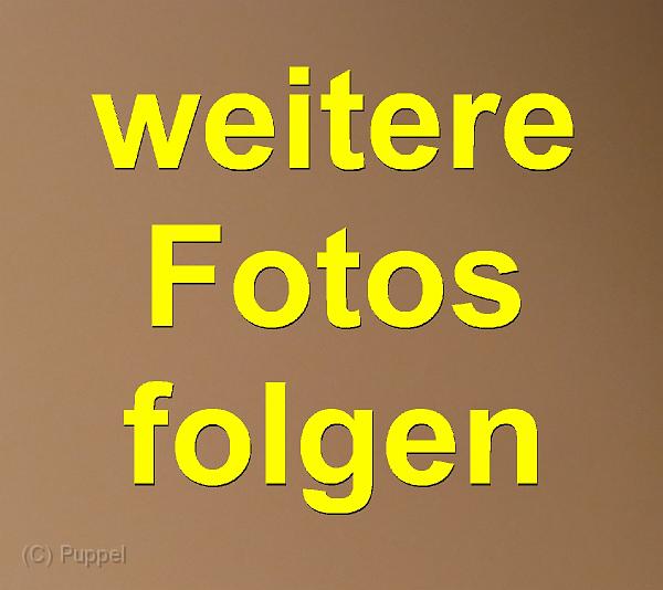 T-20170515-171753_P1590408-GX WEITERE FOTOS FOLGEN.jpg